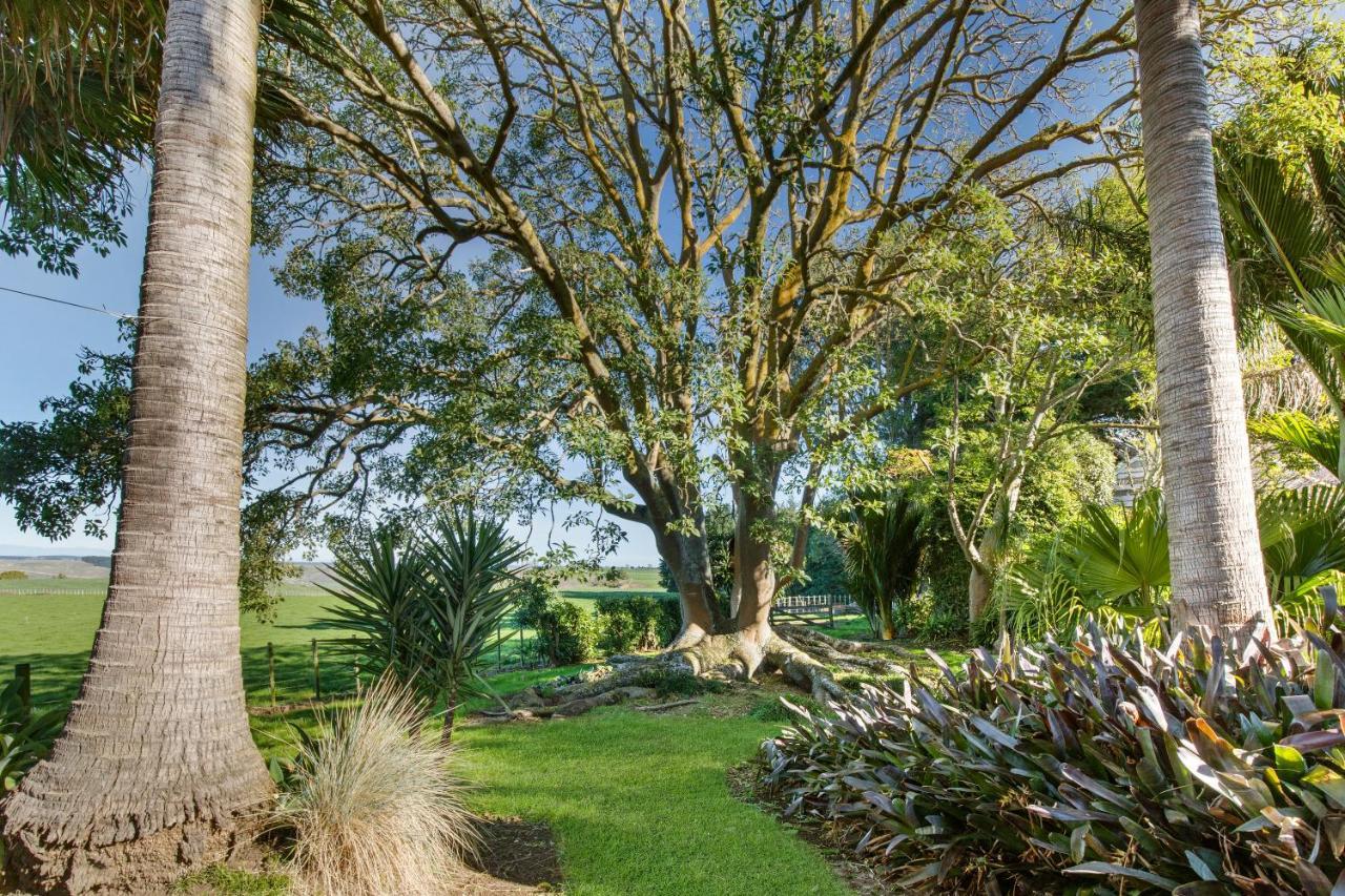 Headlands Estate Apartman Whanganui Kültér fotó